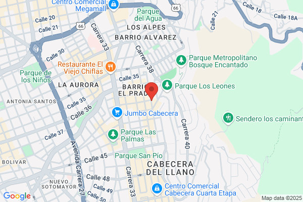 Endosurgical Sas
