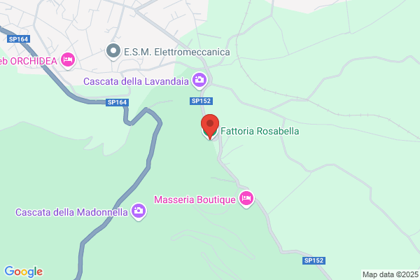 Montella rosa