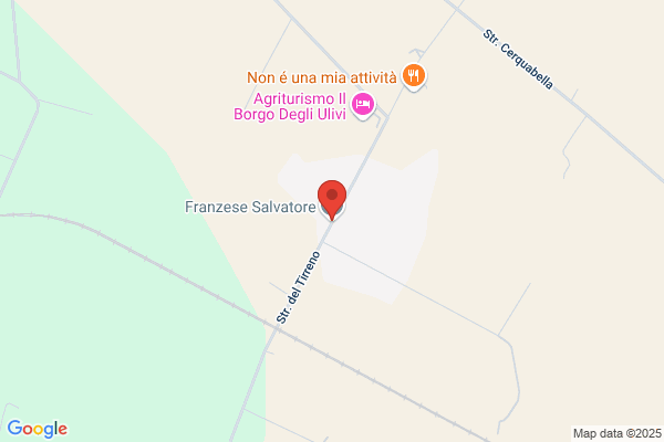 Franzesalvatore Sas