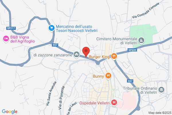 Inst.E.M.Di Carenza Vincenza