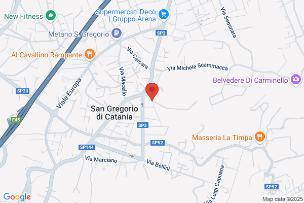 Naichè Servizi per l'Impresa