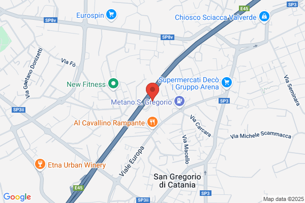 Elevatori Srl