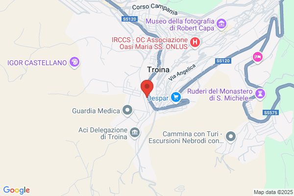 Losi Di Giuseppe Troina E C. Snc