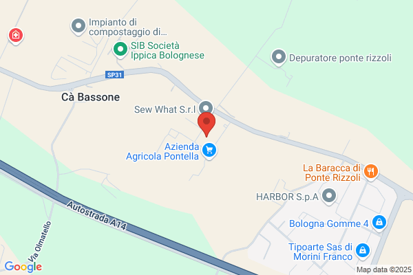 Ale Auto Contact