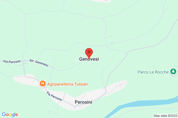 Genovesi Piero