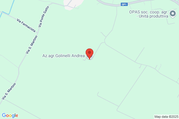 Golinelli Andrea