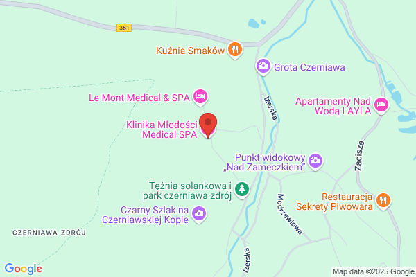 Mallinckrodt Medical (S.P.A.)