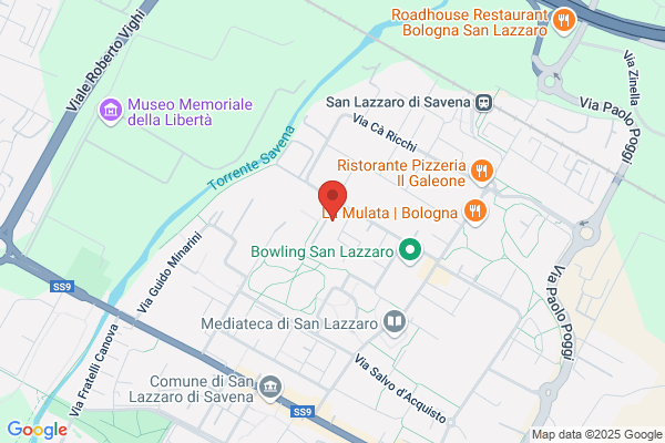 Metano Bologna (S.R.L.)