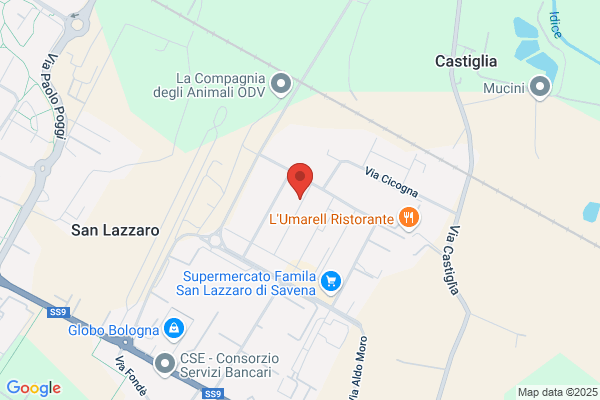 Ditta Di Martino Service