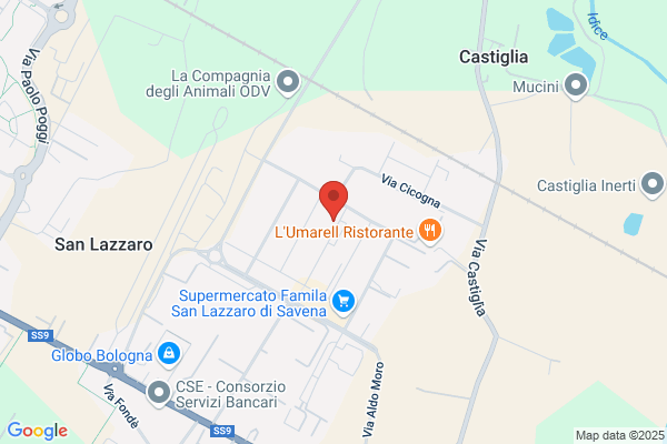 Due Torri Servizi