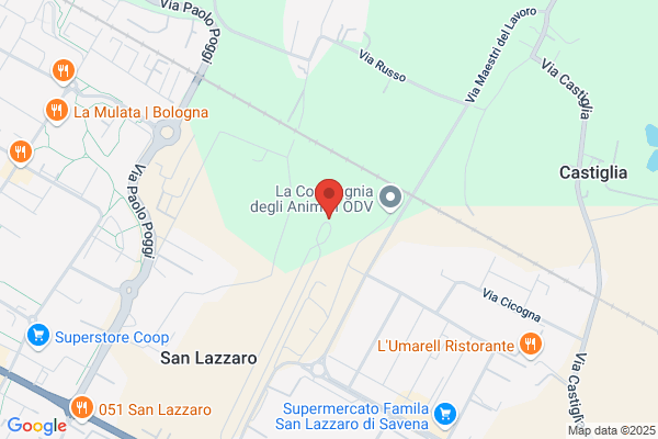 Castello Dolfi