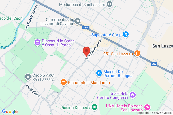 Musolesi Bottega Darte S.N.C.