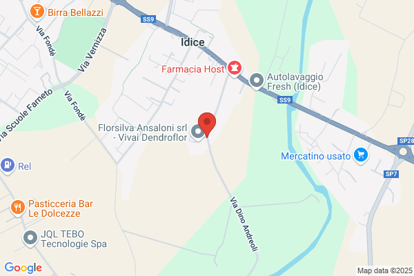 Florsilva Ansaloni Srl