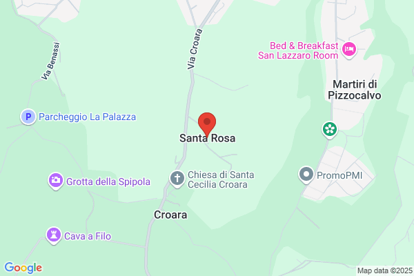 Rosa Salvatore Di S. Rosa C. Sas