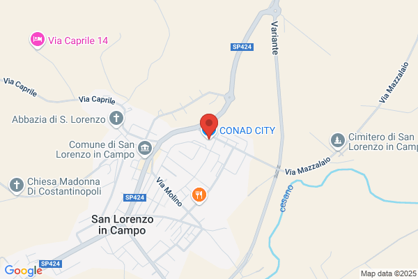Conad City