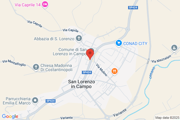 Panificio Il Fornaio Di Cattalani E Torcellini (S.N.C.)