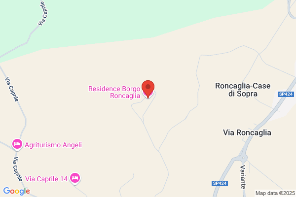 Progetto Guerra Di Papi Paola