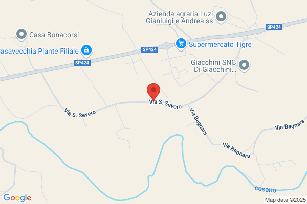 Puliti Massimo