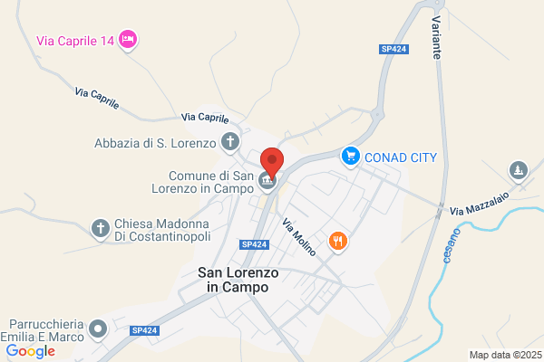 Speedy Pizza