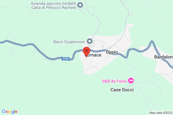 Ditta Nesti Di Nesti Franco & C. snc