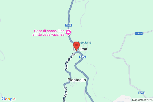 Tartarini tamara