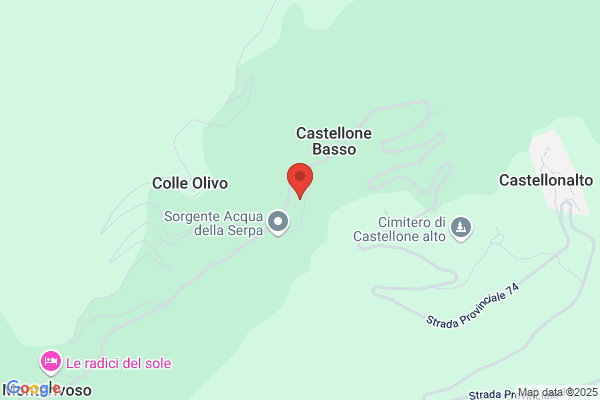 Oleificio Costantini Snc