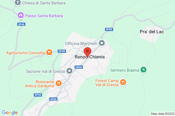 Martinelli remo