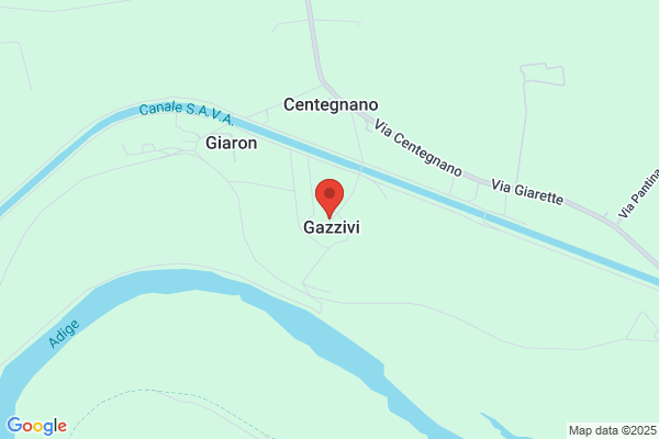 Migliorini giorgio