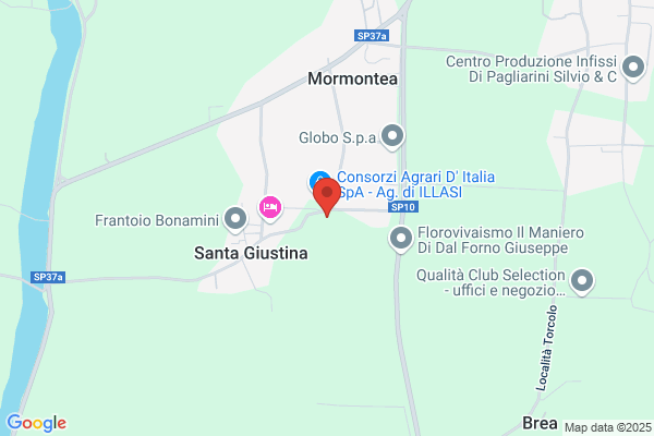 Mosconi dionigio