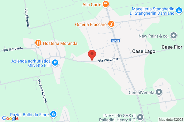 Olivetto francesco