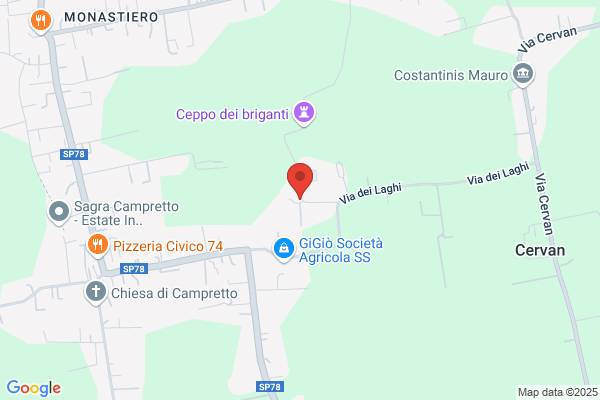 Salvalaggio remo