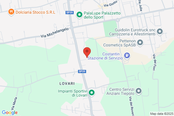 Level Consulting Di Pasinato Dr.Loris & C. s.R.L.