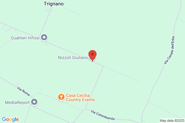 Nizzoli augusto