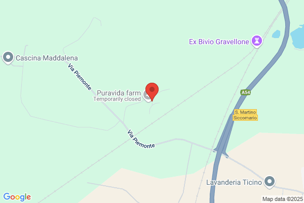 Puravida