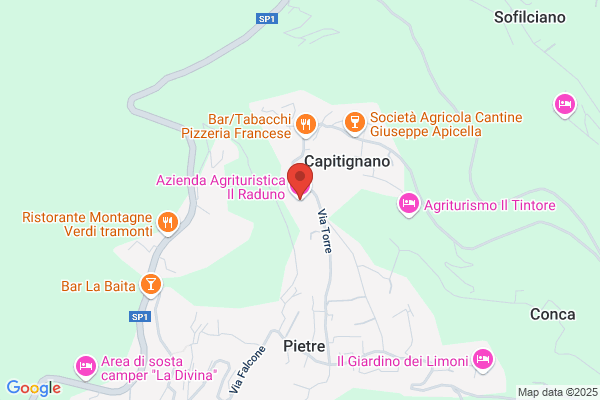 Azienda Agrituristica Il Raduno
