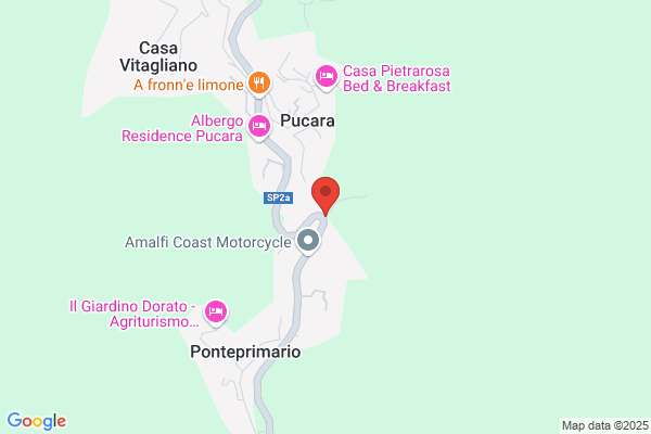 Vivai Amato Angelo