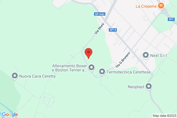 Salmo Carpenteria