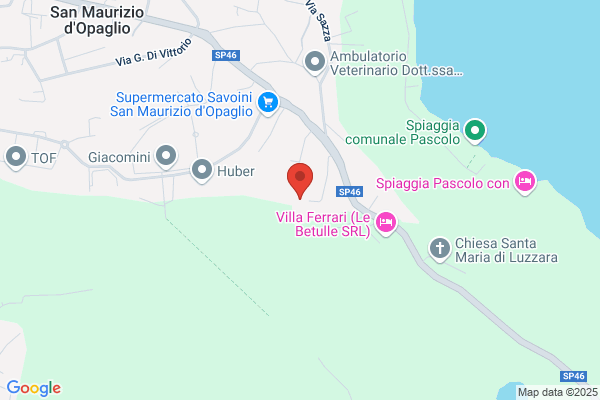 Gf Servizi