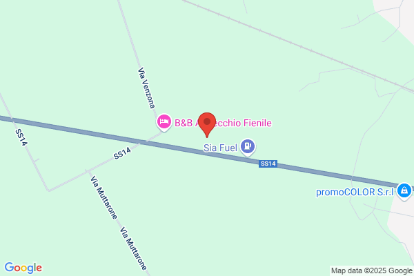 Pinzin vittorino