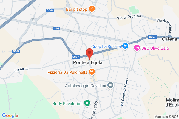 La Cicogna