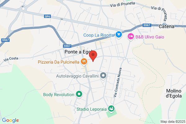 Scuole Pubbliche