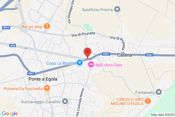Consulente Familiare Checcucci Moira