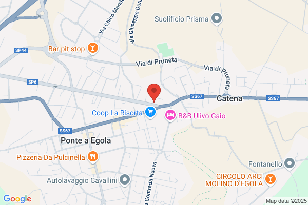 Elettronica Samminiatese