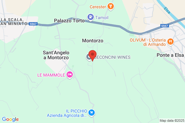 Fattoria Campigiana Di Beconcini Edo