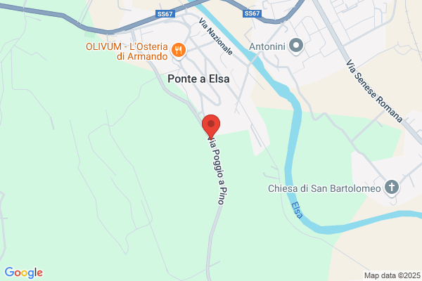 Fattoria Poggio Al Pino