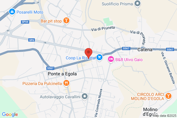 Fiorista Dina