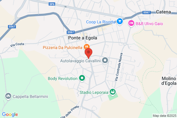 Idee Fiorite S.N.C. Di Costagli Rita E lassi giovanna