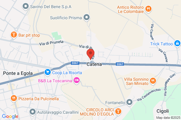 Clinica Veterinaria San Minianimal