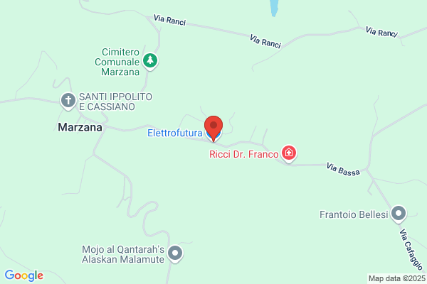 Elettrofutura