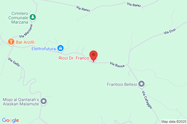 Ricci franco (Dr.)